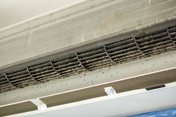 Best Local Air Duct Cleaning Services  in Steiner Ranch, TX